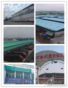 白银市商贸考察团赴广州考察农畜产品市场